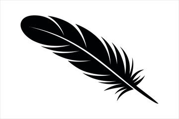 Black feather quill on white writing