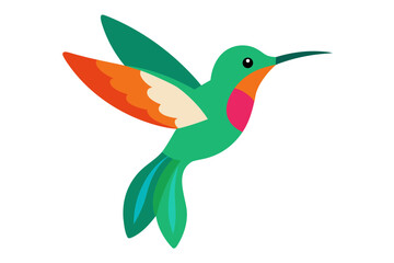  Colorful Hummingbird Flying with Flowers Vector Illustration