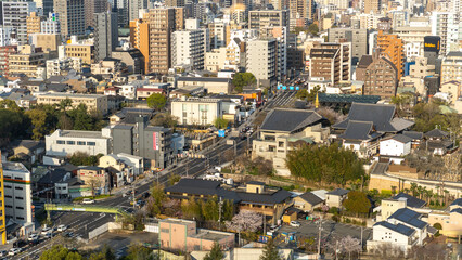 Fototapeta premium Tsūtenkaku and Osaka Skyline 
