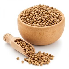 Fresh coriander seeds in a wooden bowl and scoop isolated on white background