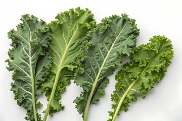 Washed Green Kale Leaves