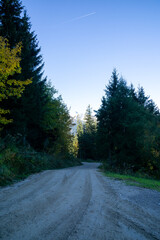 Obraz premium A dirt road with trees in the background