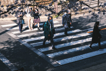 満開の桜の中を行き交う人々、京都、日本