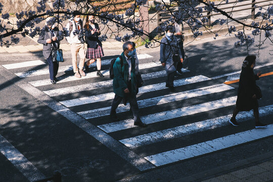 満開の桜の中を行き交う人々、京都、日本