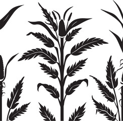 Silhouette of Multiple Corn Plants in a Field