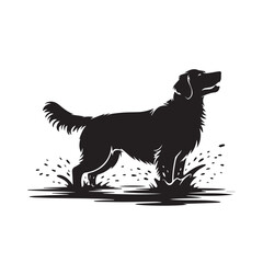 Silhouette of a happy golden retriever dog playing and splashing in muddy water on a white background