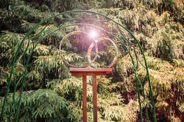 A metal arch and a pair of gold rings on a stand, setting the scene for an outdoor wedding ceremony against the backdrop of a park