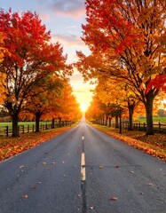 Obraz premium A serene country road is adorned by colorful autumn leaves as the sun sets in the background.