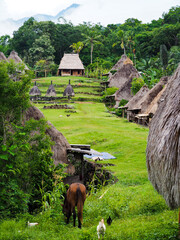 Belaraghi village view in Flores, Indonesia. It is one of the few traditional villages of the Ngada ethnic group that is still preserved its authenticity