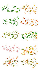 PNG floating leaves element set, transparent background
