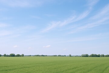 Obraz premium Expansive Green Field Under Bright Blue Sky with Wispy White Clouds in a Bright Sunny Day in Rural Countryside with Open Space and Nature Scenery