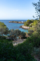 Illetes beach hidden by vegetation Palma, Mallorca, Spain