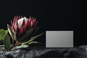 Elegant scene with a blooming protea flower and blank business card on a dark stone. Perfect for eco branding, wellness concepts, or luxury product presentations.