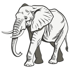 elephant logo vector art with white background.