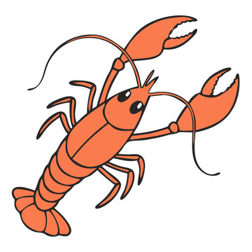 Multiple Simple Orange Lobsters &ndash; Minimal Vector Seafood Illustration