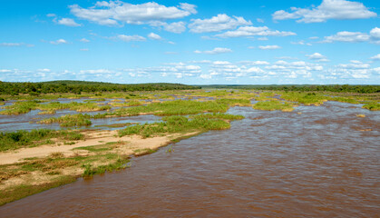 Olifants river, Parc national Kruger, Afrique du Sud