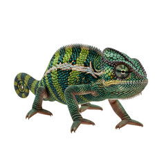 Vibrant Green Chameleon in Profile View.
