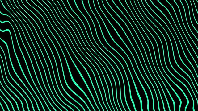 Wavy lines animated background. Luxury minimalism waves. Motion graphic. Blue lines. 