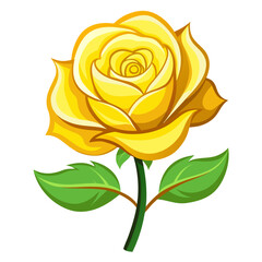 yellow rose vector illustration