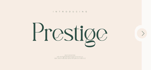 Prestige Minimal luxury font alphabet logo. Typography beauty fashion elegant minimalist serif italic fonts decorative wedding vintage retro logos. vector illustration
