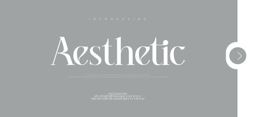 Aesthetic Elegant Font Uppercase Lowercase and Number. Classic Lettering Minimal Fashion Designs. Typography fonts regular decorative vintage concept. vector illustration

