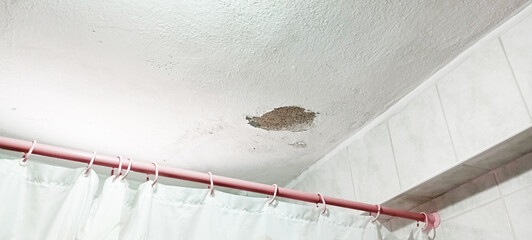 Water stain on the home ceiling. Concept of condensation, damp, water infiltration, high humidity...