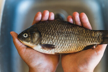 Chef holding fresh fish over kitchen sink, preparing to cook