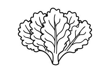 Kale Leaf Cluster Minimal Clean Style