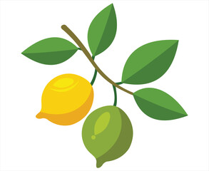 Illustration of a Lemon and Lime on a Branch with Green Leaves