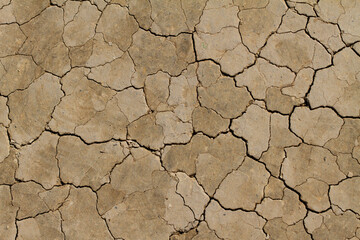 Dry cracked earth background
