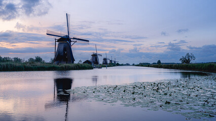 The windmills of KInderdijk, early morning. Netherlands