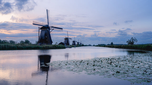 The windmills of KInderdijk, early morning. Netherlands - Powered by Adobe
