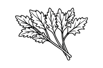 Arugula Bunch Clean White Background
