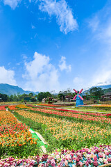 Mai Chau village landscape with rice paddy fields in North Vietnam. Mai Cau is a countryside are popular for tourists 
