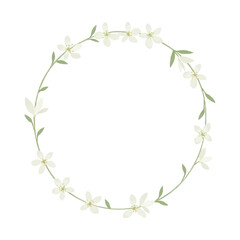Fototapeta premium watercolor jasmine flower frame