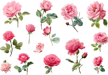 seamless pattern with pink roses