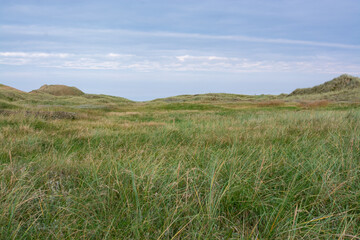 North Sea coast in Denmark with cloudy sky and green landscape in the foreground