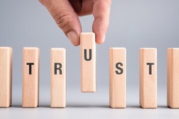 A hand putting the block in the word TRUST symbolizes the importance of each element in creating...