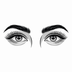 Detailed illustration of beautiful woman s eyes with long lashes and arched eyebrows