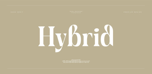 Hybrid Beauty Luxury font alphabet logo. Typography beautiful fashion elegant classic letters serif italic fonts decorative wedding vintage retro logos. vector illustration
