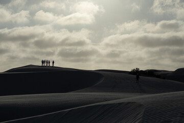 Tourists silhouetted against sand dunes, watching gray whales beneath a cloudy sky, embracing the beauty of nature and adventure