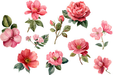 seamless pattern with pink roses