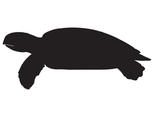 SEA TURTLE SILHOUETT