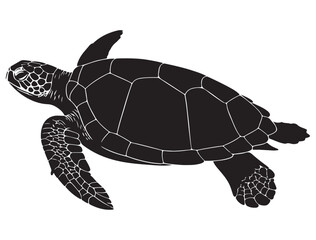 SEA TURTLE SILHOUETT