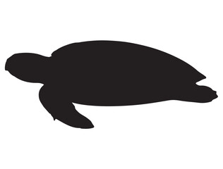 SEA TURTLE SILHOUETT