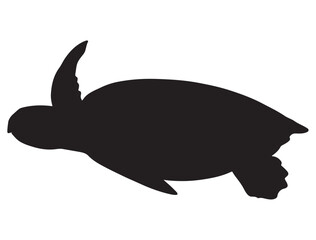 SEA TURTLE SILHOUETT