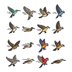 Fototapeta premium Bird Character Vector Set – Toucans, Robins, Nesting Birds, and Cartoon Expressions 