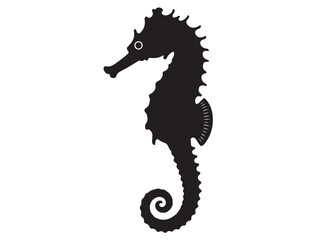 Fototapeta premium SEAHORSE SILHOUETTE