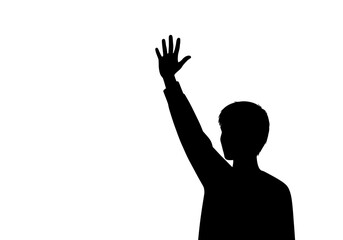 Majestic Lion Illustration: Standing Proud with Detailed Mane and Tail.