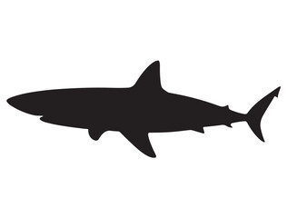 SHARK SILHOUETT